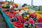 На Кубани выделят 600 миллионов рублей на поддержку садоводства и овощеводства