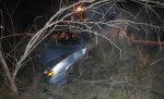 В Волгоградской области 16-летняя девушка на "пятнадцатой" врезалась в дерево