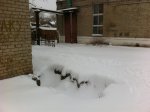 В Белой Калитве два дня шел снег