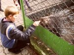 Диалоги о животных – рецепт нравственного воспитания детей в школе №1