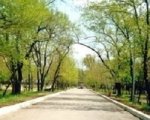 Ростовские власти ищут инвесторов для городских парков