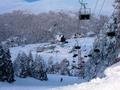 В результате снегопада в Сочи закрыли участки нескольких горных трасс
