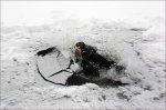 В Батайске 10-летний ребенок едва не погиб под льдом