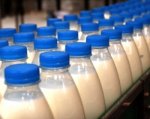 В Ростовской области создадут молочный кластер