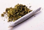 В г. Шахты задержали торговца «травкой» и изъяли 50 грамм марихуаны