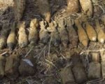 В Ростовской области обнаружен взрывоопасный схрон боеприпасов