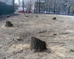 В ростовском парке «Сказка» вырубили 19 деревьев