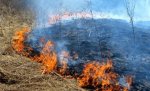 За время действия особого режима количество пожаров в Волгоградской области только возросло