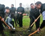 В День древонасаждения на Дону высадят десятки деревьев и кустарников