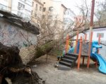 В Ростове дерево упало на детскую площадку