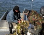 В Новочеркасске полицейские из подпольных цехов изъяли две тонны рыбы