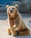У ростовского зоопарка появится попечительский совет