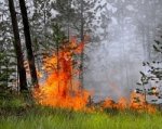 В Ростовской области прогнозируют чрезвычайную пожароопасность