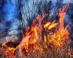 ГУ МЧС: в Ростовской области сохраняется чрезвычайная пожароопасность