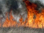 Мусор и трава в Белокалитвинском районе продолжают гореть
