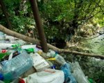 Ручей Безымянный в зоопарке Ростова очистят от мусора волонтеры