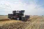 Сельское хозяйство Белокалитвинского района: завершается уборка озимых – у кого больше