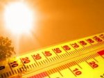 Август в Белокалитвинском районе будет рекордно жарким