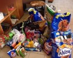 В Ростове молодожены попросили дарить им корм для животных вместо цветов