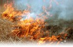 Внимание! Ландшафтные пожары на территории Ростовской области