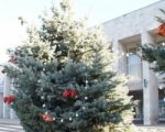 В центре Батайска разорили новогоднюю елку