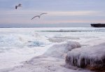 Азовское море замерзнет сегодня, Таганрогский залив уже во льду