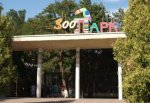 Ростовский зоопарк поднимет цены на билеты в 2 раза