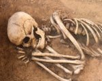 В Ростовской области обнаружили скелетированный труп мужчины