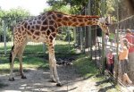Ростовский зоопарк увеличил в 2 раза плату за вход