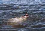 Утонул 33-летний мужчина в пруду в Ростовской области