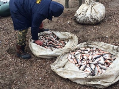 Два парня-рыбака лишились лодки, 360 метров сетей и более тысячи рыб
