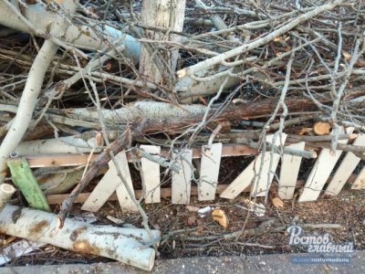 На проспекте Стачки коммунальщики, спиливая деревья, разрушили палисадник