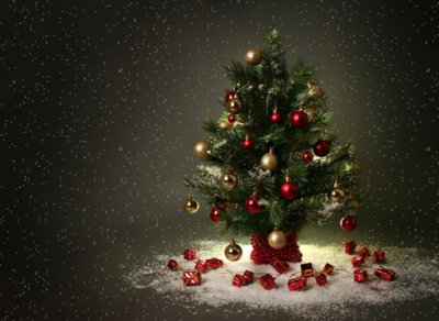 Белокалитвинцев призываюти не рубить "новогодние деревья"