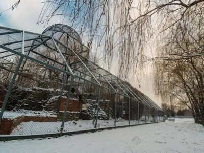 В недрах ростовского зоопарка 14 лет прятали Люцифера
