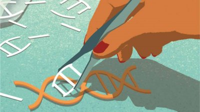 5 загадок, касающихся происхождения CRISPR