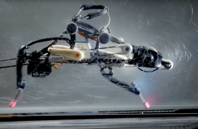 Робот-страус умеет бегать без помощи датчиков и камер с компьютером