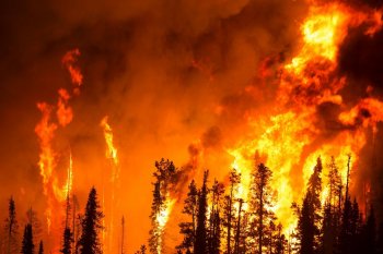 РЕКОМЕНДАЦИИ по вопросу предотвращения пожаров в весенне-летний период