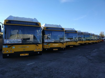 Война перевозчиков: в Ростове два предприятия пустили автобусы по одному маршруту