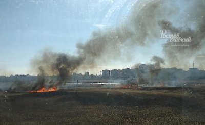 В Ростовской области загорелось поле камыша