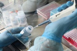 В Белой Калитве создадут моногоспиталь для больных коронавирусом за 13 миллионов