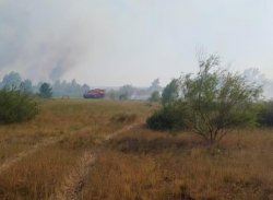 В Белокалитвинском районе вновь разгорелся лесной пожар