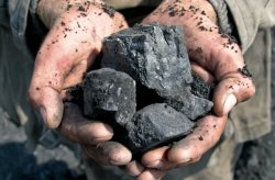 Белокалитвинский гортопсбыт опровергает информацию о некачественном угле