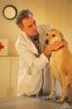 Лечение сердечных глистов у собак