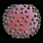 Разработана лазерная нанотехнология экспресс-диагностики вирусов