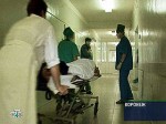 В Воронежской области 46 человек заболели геморрагической лихорадкой