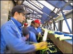 Испания приглашает 180 тыс. иностранных рабочих 