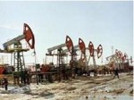 Руководство ОПЕК решило немедленно сократить объемы добычи нефти 