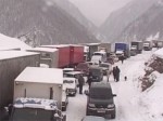 Транскавказскую автомагистраль очистят от мандаринов к утру