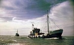 На островах Красного моря ведется поиск пропавших дайверов из России
