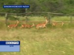 В России отмечают день заповедников и национальных парков